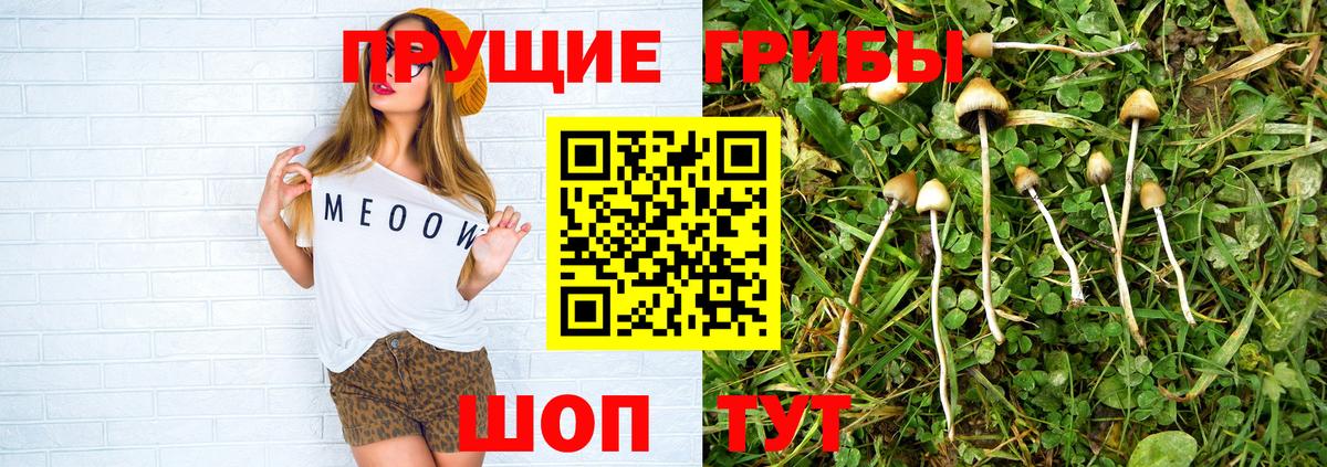 Строитель  Псилоцибиновые грибы мицелий  закладки  Вход с VPN 